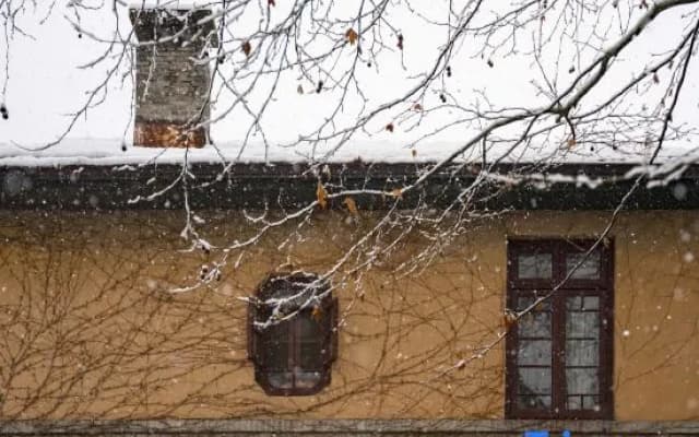 Moganshan Lingdi Art Space homestay