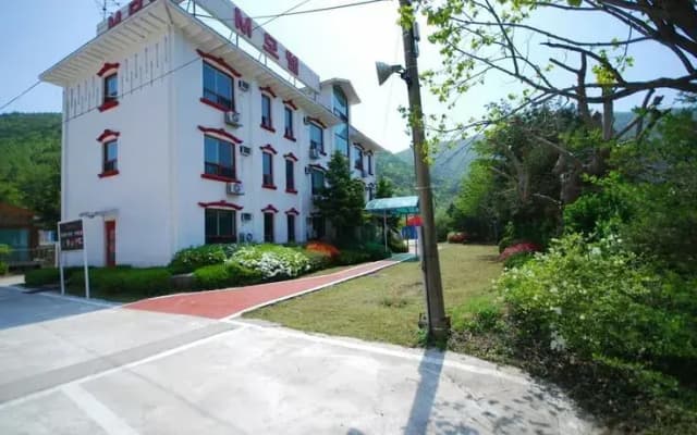 Gangneung M