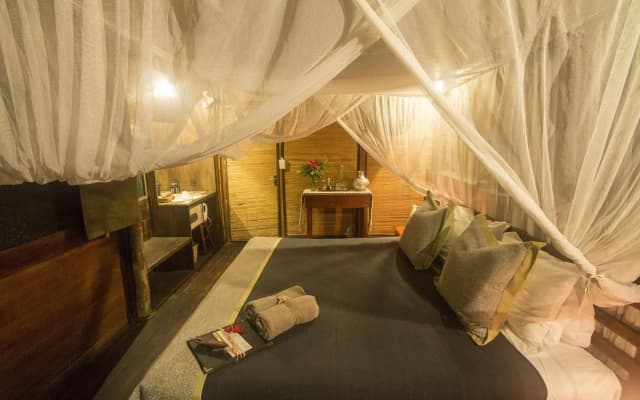Kosi Forest Lodge