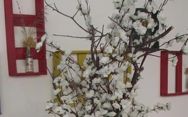 Meltem Pansiyon Datça