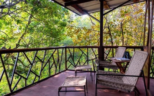 Kanha Jungle Camp