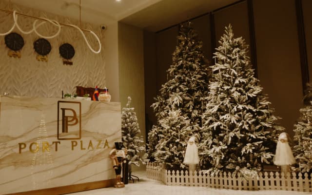 Port Plaza EVN