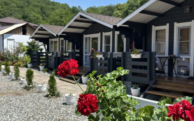 Bambucho Mini-Hotel