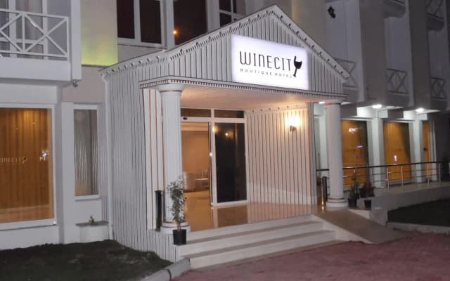 Отель Winecity