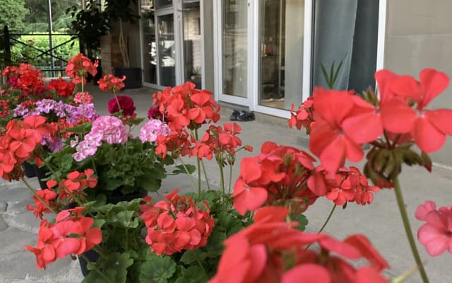 Smart Guest House
