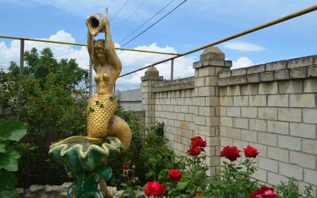 Селина