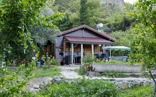 Меблированные комнаты Holiday House dilek çıralı