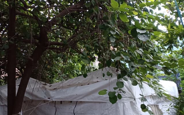 Кемпинг Nature trail camps & homestay
