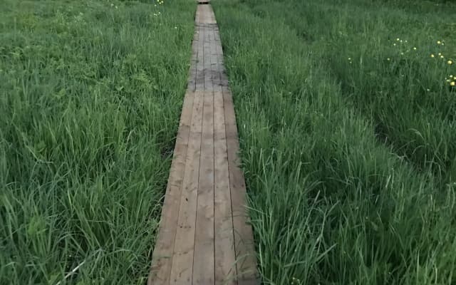 Бунгало Финский хутор