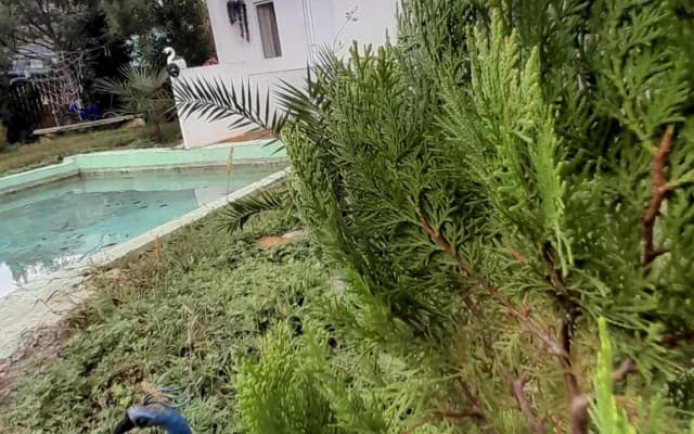 Guest house gogia