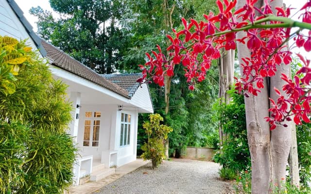 Гостевой дом Silpasom ARTstay Suratthani