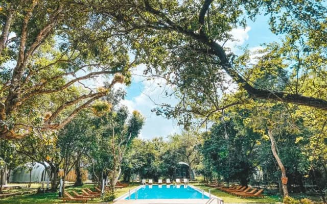 Курортный Отель Nivadoo Resort Sigiriya