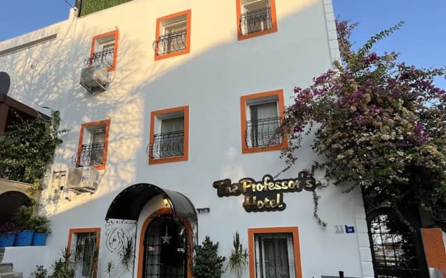 Отель The Professor's Hotel