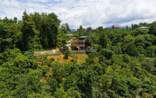 Частный дом TreeHouse GoldenSeaView TreeHouse