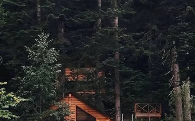 Гостевой дом Домик в лесу