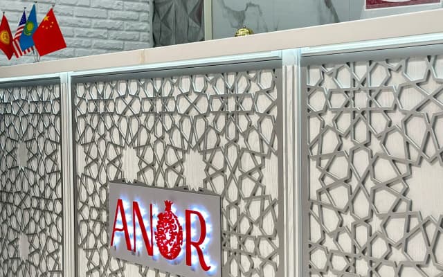 Отель Anor