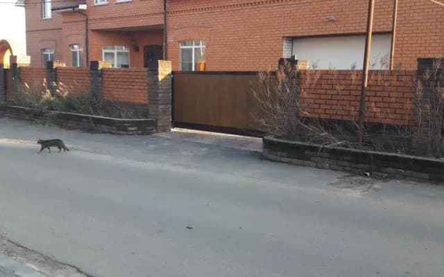 Nad Rekoj Guest House
