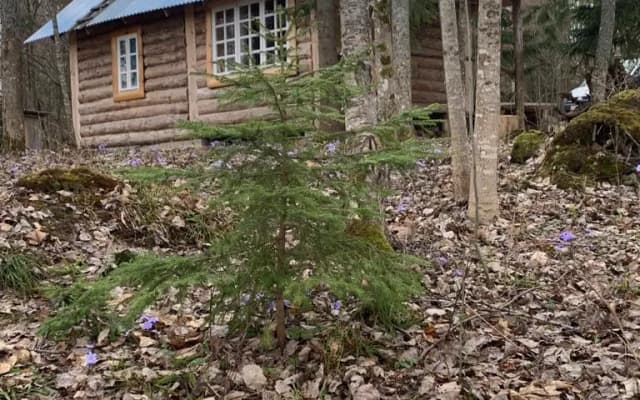 Бунгало Изба Рыбака Хутор Каменюк
