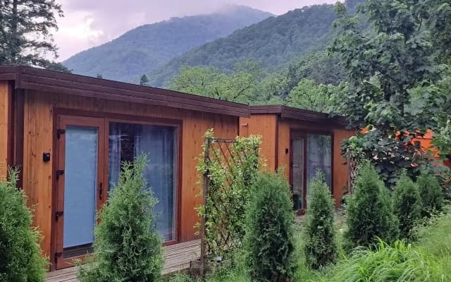 Коттедж Tiny House 