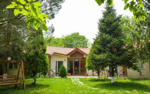 Alex Village Life