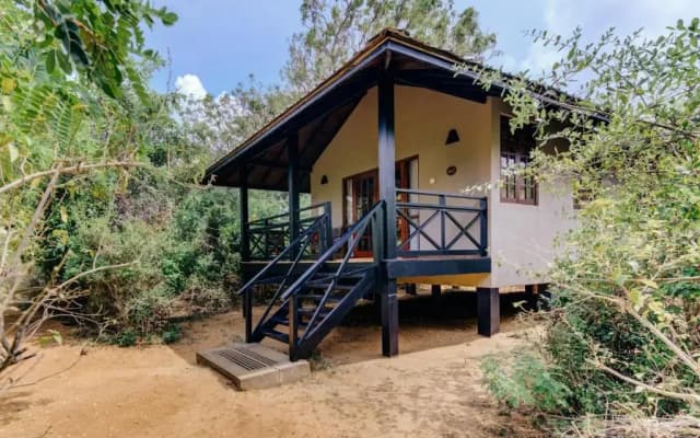 Cinnamon Wild Yala