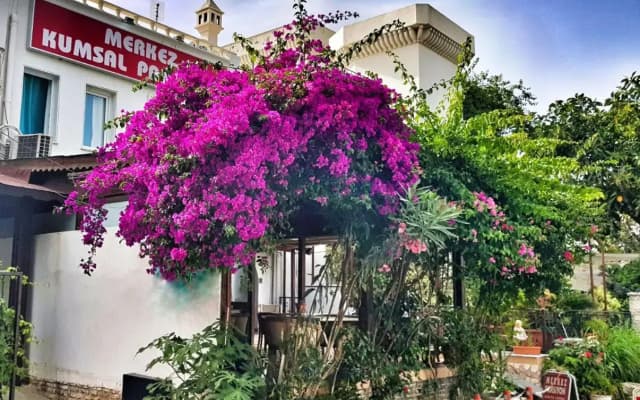 Bodrum Merkez Kumsal Pansiyon