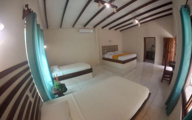 Tarcoles Birding Lodge